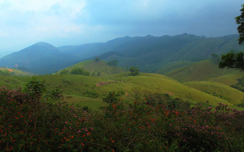 Vagamon