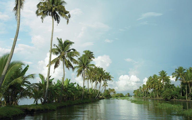 backwater-kerala